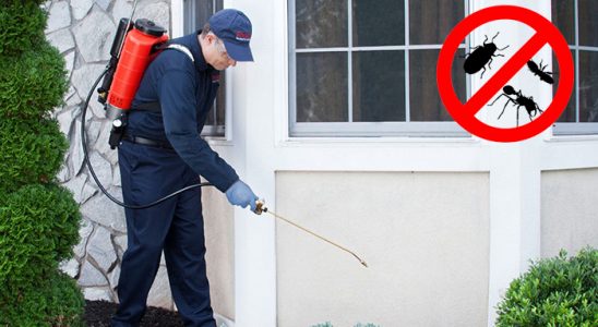 Düzce Böcek ve Haşere İlaçlama böcek ilaçlama ve haşere kontrolü — ilaclama-tr.com